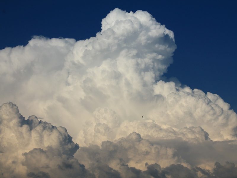 Cloud-Sicherheit – Dienste und Daten immer im Griff